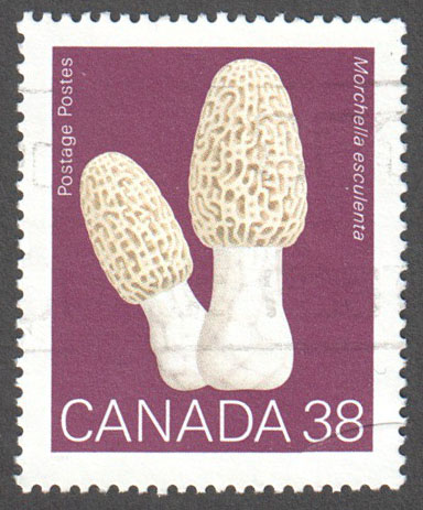 Canada Scott 1248 Used - Click Image to Close